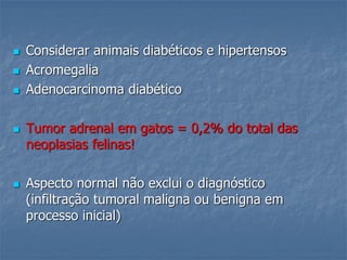  Considerar animais diabéticos e hipertensos
 Acromegalia
 Adenocarcinoma diabético
 Tumor adrenal em gatos = 0,2% do total das
neoplasias felinas!
 Aspecto normal não exclui o diagnóstico
(infiltração tumoral maligna ou benigna em
processo inicial)
 