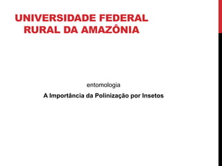 UNIVERSIDADE FEDERAL
RURAL DA AMAZÔNIA
entomologia
A Importância da Polinização por Insetos
 