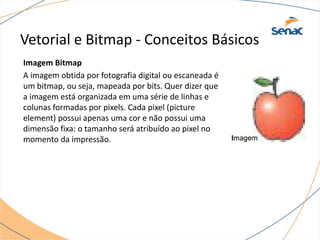 Vetorial e Bitmap - Conceitos Básicos
Imagem Bitmap
A imagem obtida por fotografia digital ou escaneada é
um bitmap, ou seja, mapeada por bits. Quer dizer que
a imagem está organizada em uma série de linhas e
colunas formadas por pixels. Cada pixel (picture
element) possui apenas uma cor e não possui uma
dimensão fixa: o tamanho será atribuído ao pixel no
momento da impressão.
 