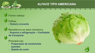 10
Forma cabeça
Folhas
- Textura crocante
Resistência ao dano mecânico
- Suporta a refrigeração – Facilidade
de transporte
Principal uso
- Preparação de sanduíches
quentes
- Salada de corte
ALFACE TIPO AMERICANA
 