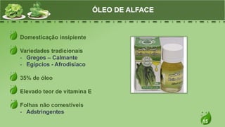 15
Domesticação insipiente
Variedades tradicionais
- Gregos – Calmante
- Egípcios - Afrodisíaco
35% de óleo
Elevado teor de vitamina E
Folhas não comestíveis
- Adstringentes
ÓLEO DE ALFACE
 