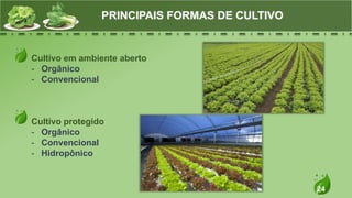 24
Cultivo em ambiente aberto
- Orgânico
- Convencional
Cultivo protegido
- Orgânico
- Convencional
- Hidropônico
PRINCIPAIS FORMAS DE CULTIVO
 