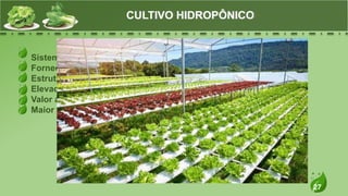27
Sistema de cultivo fora do solo
Fornecimento da nutrição via solução nutritiva
Estrutura de maior custo
Elevado custo de manutenção e cultivo
Valor agregado no produto final
Maior rentabilidade e escalonamento da produção
CULTIVO HIDROPÔNICO
 