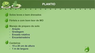 28
Solos leves e bem drenados
Férteis e com bom teor de MO
Manejo de preparo do solo
- Aração
- Gradagem
- Enxada rotativa
- Encanteiradeira
Canteiros
- 15 a 20 cm de altura
- 1 m de largura
PLANTIO
 