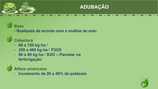 31
Base
- Realizada de acordo com a análise de solo
Cobertura
- 60 a 120 kg ha-¹
- 250 a 400 kg ha-¹ P2O5
- 80 a 90 kg ha-¹ K2O – Parcelar na
fertirrigação
Alface americana
- Incremento de 20 a 40% do potássio
ADUBAÇÃO
 