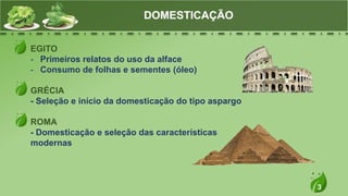 3
EGITO
- Primeiros relatos do uso da alface
- Consumo de folhas e sementes (óleo)
GRÉCIA
- Seleção e início da domesticação do tipo aspargo
ROMA
- Domesticação e seleção das características
modernas
DOMESTICAÇÃO
 