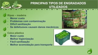 45
Ripas – madeira
- Menor custo
- Problemas com contaminação
- Difícil sanitização
- Se defeituosos causam danos mecânicos
Caixa plástica
- Maior custo
- Melhor higienização
- Fácil sanitização
- Melhor acomodação para transporte
PRINCIPAIS TIPOS DE ENGRADADOS
UTILIZADOS
 