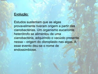 Evolução:

Estudos sustentam que as algas
provavelmente tiveram origem a partir das
cianobactérias. Um organismo eucarionte
heterótrofo se alimentou de uma
cianobactéria, adquirindo o vacúolo presente
nessa – origem do cloroplasto nas algas. A
esse evento deu-se o nome de
endossimbiose.
 