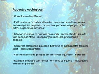 Aspectos ecológicos:
• Constituem o fitoplâncton;

• Estão na base da cadeia alimentar, servindo como alimento para
muitas espécies de peixes, crustáceos, poríferos (esponjas), entre
outros organismos marinhos;

• São considerados os pulmões do mundo, apresentando uma alta
taxa de fotossíntese – muitos organismos, alta produção de
oxigênio;

• Conferem coloração e protegem barreiras de corais contra radiação
solar – algas zooxantelas;

• São indicadores de poluição em ambientes aquáticos – florações;

• Realizam simbiose com fungos, formando os líquens – indicadores
ambientais poluição).
 