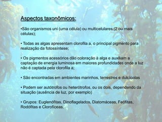 Aspectos taxonômicos:
•São organismos uni (uma célula) ou multicelulares (2 ou mais
células);

• Todas as algas apresentam clorofila a, o principal pigmento para
realização da fotossíntese;

• Os pigmentos acessórios dão coloração à alga e auxiliam a
captação de energia luminosa em maiores profundidades onde a luz
não é captada pela clorofila a;

• São encontradas em ambientes marinhos, terrestres e dulcícolas

• Podem ser autótrofos ou heterótrofos, ou os dois, dependendo da
situação (ausência de luz, por exemplo)

• Grupos: Euglenófitas, Dinoflagelados, Diatomáceas, Feófitas,
Rodófitas e Clorofíceas.
 