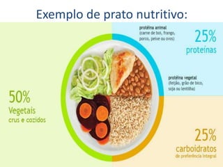 Exemplo de prato nutritivo:
 