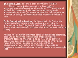 En Castilla León:  se lleva a cabo el Proyecto AMERA.  Tiene como objetivo potenciar la formación e investigación metodológica en el uso de las TIC, mediante el análisis de contenidos y elaboración de estrategias de intervención en el aula, la puesta en práctica del Proyecto en la acción de aula, y la evaluación de los procesos llevados a cabo. En la Comunidad Valenciana:  La Conselleria de Educación tiene como objetivo dotar adecuadamente las aulas de informática de los Colegios Públicos de Educación Infantil y Educación Primaria con la distribución LliureX (distribución de Linux). Aunque solo se hayan nombrado estas Comunidades españolas, cada una de nuestras comunidades propone su propio programa sobre la integración de las TIC en los centros educativos pero en poco se diferencian uno de otro ya que todos tiene como finalidad dotar a los centros de equipamiento y estructura para facilitar el proceso de enseñanza-aprendizaje de una forma innovadora en pleno siglo XXI. 