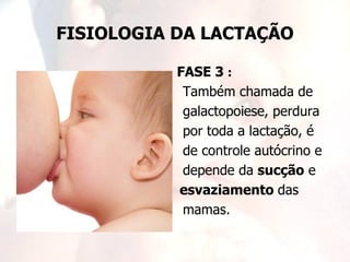 FISIOLOGIA DA LACTAÇÃO

           FASE 3 :
            Também chamada de
            galactopoiese, perdura
            por toda a lactação, é
            de controle autócrino e
            depende da sucção e
           esvaziamento das
            mamas.
 