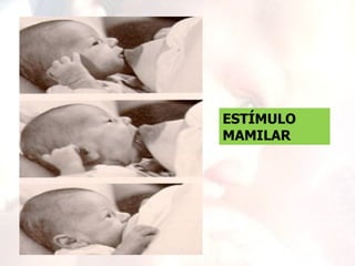 ESTÍMULO
MAMILAR
 