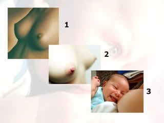 1



    2




        3
 