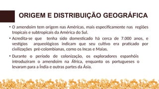 • O amendoim tem origem nas Américas, mais especificamente nas regiões
tropicais e subtropicais da América do Sul.
• Acredita-se que tenha sido domesticado há cerca de 7.000 anos, e
vestígios arqueológicos indicam que seu cultivo era praticado por
civilizações pré-colombianas, como os Incas e Maias.
• Durante o período de colonização, os exploradores espanhóis
introduziram o amendoim na África, enquanto os portugueses o
levaram para a Índia e outras partes da Ásia.
ORIGEM E DISTRIBUIÇÃO GEOGRÁFICA
 