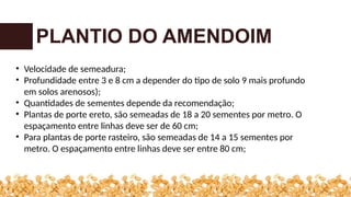 PLANTIO DO AMENDOIM
• Velocidade de semeadura;
• Profundidade entre 3 e 8 cm a depender do tipo de solo 9 mais profundo
em solos arenosos);
• Quantidades de sementes depende da recomendação;
• Plantas de porte ereto, são semeadas de 18 a 20 sementes por metro. O
espaçamento entre linhas deve ser de 60 cm;
• Para plantas de porte rasteiro, são semeadas de 14 a 15 sementes por
metro. O espaçamento entre linhas deve ser entre 80 cm;
 