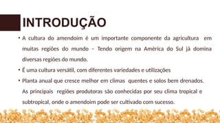 • A cultura do amendoim é um importante componente da agricultura em
muitas regiões do mundo – Tendo origem na América do Sul já domina
diversas regiões do mundo.
• É uma cultura versátil, com diferentes variedades e utilizações
• Planta anual que cresce melhor em climas quentes e solos bem drenados.
As principais regiões produtoras são conhecidas por seu clima tropical e
subtropical, onde o amendoim pode ser cultivado com sucesso.
INTRODUÇÃO
 