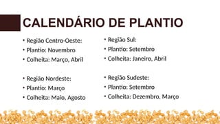 • Região Centro-Oeste:
• Plantio: Novembro
• Colheita: Março, Abril
• Região Nordeste:
• Plantio: Março
• Colheita: Maio, Agosto
CALENDÁRIO DE PLANTIO
• Região Sul:
• Plantio: Setembro
• Colheita: Janeiro, Abril
• Região Sudeste:
• Plantio: Setembro
• Colheita: Dezembro, Março
 