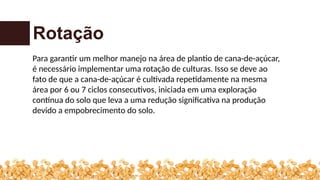 Para garantir um melhor manejo na área de plantio de cana-de-açúcar,
é necessário implementar uma rotação de culturas. Isso se deve ao
fato de que a cana-de-açúcar é cultivada repetidamente na mesma
área por 6 ou 7 ciclos consecutivos, iniciada em uma exploração
contínua do solo que leva a uma redução significativa na produção
devido a empobrecimento do solo.
Rotação
 