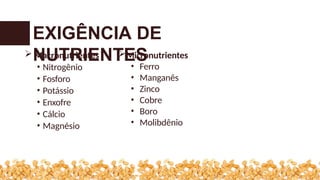  Macronutrientes
• Nitrogênio
• Fosforo
• Potássio
• Enxofre
• Cálcio
• Magnésio
Micronutrientes
• Ferro
• Manganês
• Zinco
• Cobre
• Boro
• Molibdênio
EXIGÊNCIA DE
NUTRIENTES
 