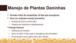  Período crítico de competição: 50 dias pós emergência
 Deve ser realizado manejo preventivo:
• Manejo da área na entre safra
• Limpeza de máquinas e equipamentos
Manejo Manual:
• Utilização de enxadas
• Deve ser feito 15 dias após a emergência do amendoim
• Se necessário nova capina entre 30 e 40 dias
Manejo de Plantas Daninhas
 