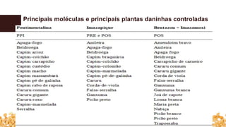 Principais moléculas e principais plantas daninhas controladas
 