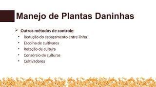  Outros métodos de controle:
• Redução do espaçamento entre linha
• Escolha de cultivares
• Rotação de cultura
• Consórcio de culturas
• Cultivadores
Manejo de Plantas Daninhas
 