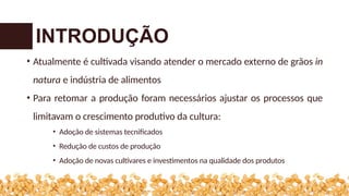 • Atualmente é cultivada visando atender o mercado externo de grãos in
natura e indústria de alimentos
• Para retomar a produção foram necessários ajustar os processos que
limitavam o crescimento produtivo da cultura:
• Adoção de sistemas tecnificados
• Redução de custos de produção
• Adoção de novas cultivares e investimentos na qualidade dos produtos
INTRODUÇÃO
 