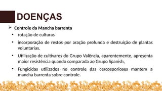 DOENÇAS
 Controle da Mancha barrenta
• rotação de culturas
• incorporação de restos por aração profunda e destruição de plantas
voluntarias.
• Utilização de cultivares do Grupo Valência, aparentemente, apresenta
maior resistência quando comparada ao Grupo Spanish,
• Fungicidas utilizados no controle das cercosporioses mantem a
mancha barrenta sobre controle.
 