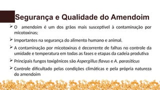 Segurança e Qualidade do Amendoim
 O amendoim é um dos grãos mais susceptível à contaminação por
micotoxinas;
 Importantes na segurança do alimento humano e animal.
 A contaminação por micotoxinas é decorrente de falhas no controle da
umidade e temperatura em todas as fases e etapas da cadeia produtiva
 Principais fungos toxigênicos são Aspergillus flavus e A. parasiticus
 Controle dificultado pelas condições climáticas e pela própria natureza
do amendoim
 