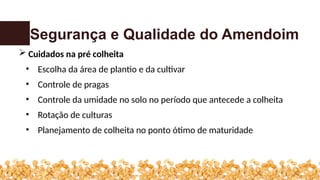 Segurança e Qualidade do Amendoim
 Cuidados na pré colheita
• Escolha da área de plantio e da cultivar
• Controle de pragas
• Controle da umidade no solo no período que antecede a colheita
• Rotação de culturas
• Planejamento de colheita no ponto ótimo de maturidade
 
