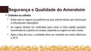 Segurança e Qualidade do Amendoim
 Cuidados na colheita
• Evitar que as vagens se quebrem ou que sofram danos que favoreçam
a infecção por Aspergillus.
• As vagens devem ser colocadas para secar o mais rápido possível,
invertendo-se a planta no campo, expondo as vagens ao sol e vento
• Após a fase de cura, a umidade deve ser mantida em níveis inferiores
a 10 %
 