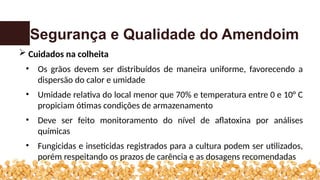 Segurança e Qualidade do Amendoim
 Cuidados na colheita
• Os grãos devem ser distribuídos de maneira uniforme, favorecendo a
dispersão do calor e umidade
• Umidade relativa do local menor que 70% e temperatura entre 0 e 10° C
propiciam ótimas condições de armazenamento
• Deve ser feito monitoramento do nível de aflatoxina por análises
químicas
• Fungicidas e inseticidas registrados para a cultura podem ser utilizados,
porém respeitando os prazos de carência e as dosagens recomendadas
 