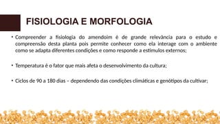 • Compreender a fisiologia do amendoim é de grande relevância para o estudo e
compreensão desta planta pois permite conhecer como ela interage com o ambiente
como se adapta diferentes condições e como responde a estímulos externos;
• Temperatura é o fator que mais afeta o desenvolvimento da cultura;
• Ciclos de 90 a 180 dias – dependendo das condições climáticas e genótipos da cultivar;
FISIOLOGIA E MORFOLOGIA
 