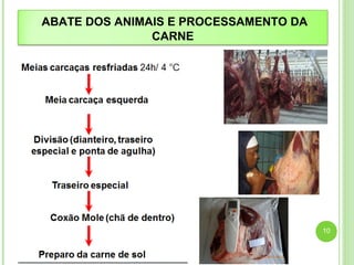 ABATE DOS ANIMAIS E PROCESSAMENTO DA 
CARNE 
10 
 