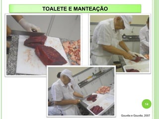 14 
TOALETE E MANTEAÇÃO 
Gouvêa e Gouvêa, 2007 
 