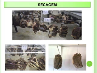 17 
SECAGEM 
 