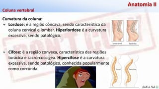 Giselle de PaulaGiselle de Paula
Anatomia II
Curvatura da coluna:
Lordose: é a região côncava, sendo característica da
coluna cervical e lombar. Hiperlordose é a curvatura
excessiva, sendo patológico.
Cifose: é a região convexa, característica das regiões
torácica e sacro-coccígea. Hipercifose é a curvatura
excessiva, sendo patológico, conhecida popularmente
como corcunda
Coluna vertebral
 