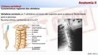 Giselle de PaulaGiselle de Paula
Anatomia II
Características regionais das vértebras
Coluna vertebral
Vértebras cervicais: as 7 vértebras cervicais são suportes para a cabeça e flexibilidade
para o pescoço.
Na área clínica, conhecida de C1 a C7
 