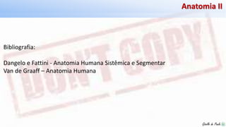 Giselle de PaulaGiselle de Paula
Anatomia II
Bibliografia:
Dangelo e Fattini - Anatomia Humana Sistêmica e Segmentar
Van de Graaff – Anatomia Humana
 
