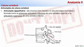 Giselle de PaulaGiselle de Paula
Anatomia II
Articulações da coluna vertebral
Coluna vertebral
Articulação zigapofisária: são sinoviais (tem líquido e é vascularizada e inervada) e
formada entre os processos articulares inferiores de uma vértebra superior e os
articulares superiores de uma vértebra inferior.
 