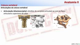 Giselle de PaulaGiselle de Paula
Anatomia II
Articulações da coluna vertebral
Coluna vertebral
Articulação Atlantooccipital: côndilos do occipital articulam-se com as faces
articulares superiores do atlas
 