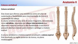 Giselle de PaulaGiselle de Paula
Anatomia II
Coluna vertebral
Eixo ósseo que oferece uma resistência como um pilar de
sustentação e flexibilidade para movimentação do tronco e
sustentação da cabeça.
A coluna vertebral é uma série de ossos irregulares, denominadas
como vértebras, separadas por discos intervertebrais que
absorvem impactos verticais e dão flexibilidade à estrutura e
possuem abertura tubular para envolver e proteger a medula
espinal.
A coluna vertebral e a medula espinal constituem a coluna espinal
Está localizada na região posterior do tronco, no plano
mediossagital.
Coluna vertebral
 