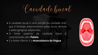 Aula anatomia da cavidade bucal - ASB.pdf