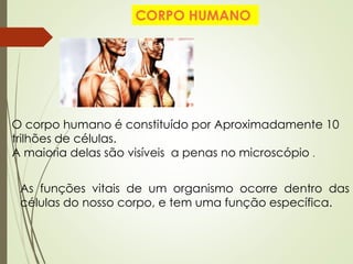 CORPO HUMANO
O corpo humano é constituído por Aproximadamente 10
trilhões de células.
A maioria delas são visíveis a penas no microscópio .
As funções vitais de um organismo ocorre dentro das
células do nosso corpo, e tem uma função específica.
 