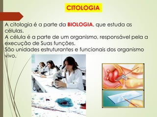 CITOLOGIA
A citologia é a parte da BIOLOGIA, que estuda as
células.
A célula é a parte de um organismo, responsável pela a
execução de Suas funções.
São unidades estruturantes e funcionais dos organismo
vivo.
 