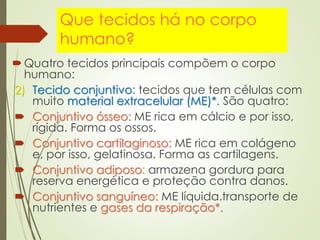 Que tecidos há no corpo
humano?
Quatro tecidos principais compõem o corpo
humano:
2) Tecido conjuntivo: tecidos que tem células com
muito material extracelular (ME)*. São quatro:
 Conjuntivo ósseo: ME rica em cálcio e por isso,
rígida. Forma os ossos.
 Conjuntivo cartilaginoso: ME rica em colágeno
e, por isso, gelatinosa. Forma as cartilagens.
 Conjuntivo adiposo: armazena gordura para
reserva energética e proteção contra danos.
 Conjuntivo sanguíneo: ME líquida.transporte de
nutrientes e gases da respiração*.
 