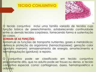 O tecido conjuntivo inclui uma família variada de tecidos cuja
função básica de preenchimento, estabelecendo continuidade
entre os demais tecidos corpóreos, fornecendo forma e sustentação
ao corpo.
SOMAM-SE AS FUNÇÕES:
Somam-se as funções de transporte nutrientes, gases e metabólicos;
defesa e proteção do organismo (hemocitopoiese); geração calor
(gordura marrom); armazenamento de energia, amortecimento e
termorregulação (gordura); e reparo.
O conjuntivo pode ser classificado em tecido conjuntivo
propriamente dito, que no adulto pode ser frouxo ou denso, e tecido
conjuntivo especial, como: cartilaginoso, ósseo, hematopoiético e
adiposo.
TECIDO CONJUNTIVO
 