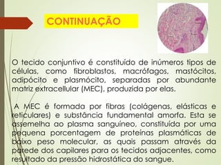 O tecido conjuntivo é constituído de inúmeros tipos de
células, como fibroblastos, macrófagos, mastócitos,
adipócito e plasmócito, separadas por abundante
matriz extracellular (MEC), produzida por elas.
A MEC é formada por fibras (colágenas, elásticas e
reticulares) e substância fundamental amorfa. Esta se
assemelha ao plasma sanguíneo, constituída por uma
pequena porcentagem de proteínas plasmáticas de
baixo peso molecular, as quais passam através da
parede dos capilares para os tecidos adjacentes, como
resultado da pressão hidrostática do sangue.
CONTINUAÇÃO
 